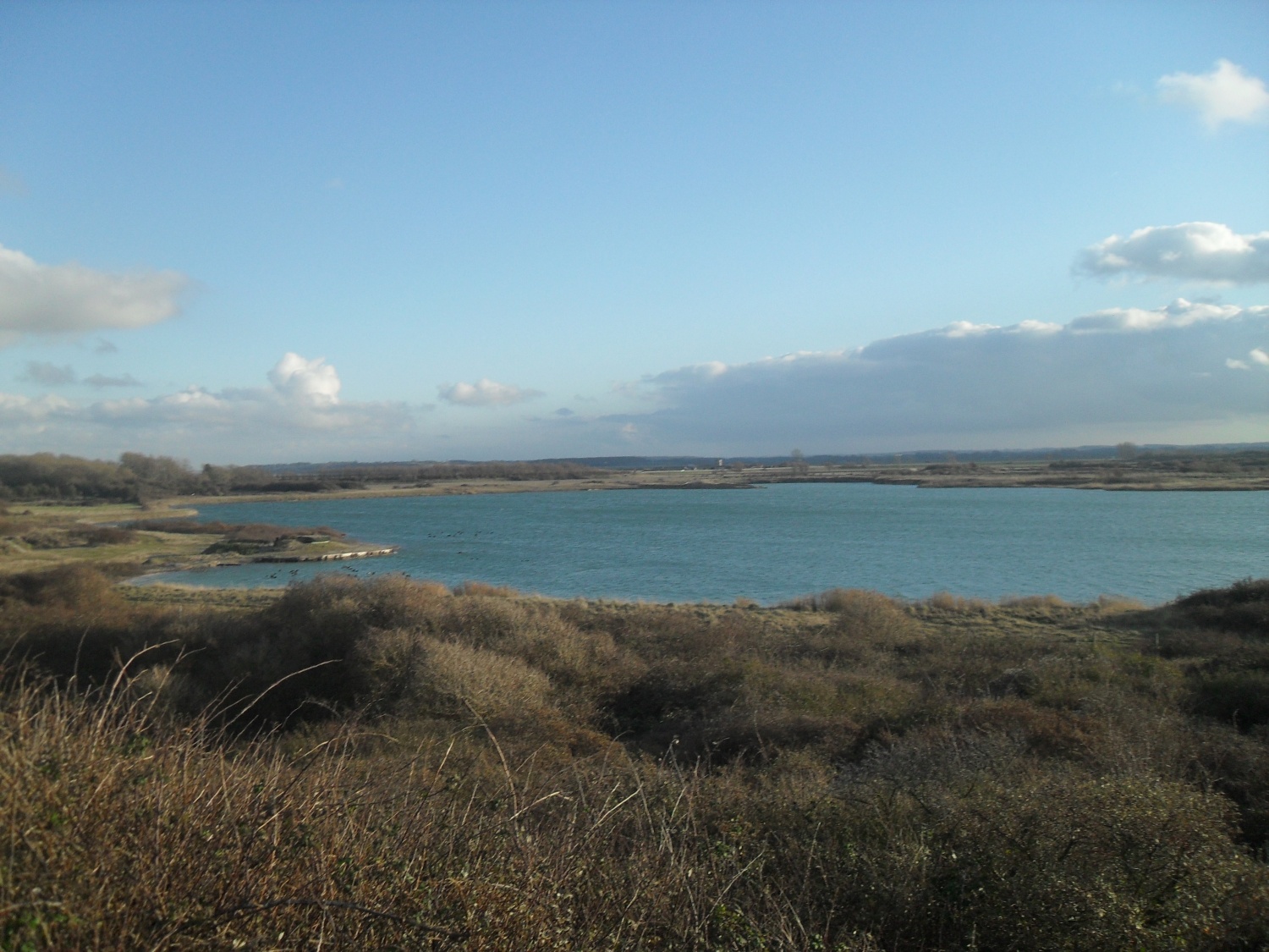 a la rencontre des phoques en baie de somme