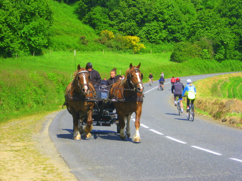   par les chemins 