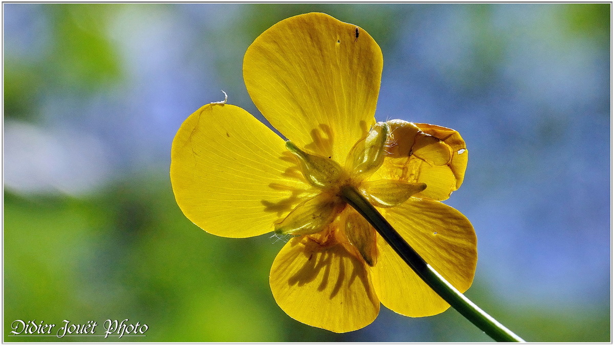 Balade / Mardi 30 Avril 2019