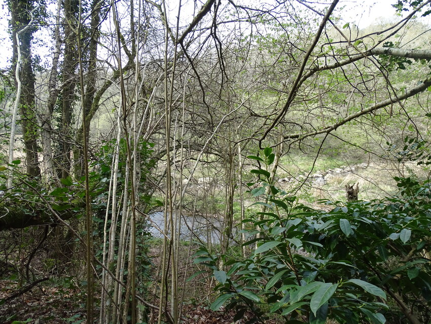 Pont-Sal le sentier côtier (2)