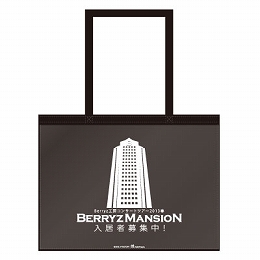 Goodies pour la tournée "Concert Tour 2013 Haru ~ Berryz Koubou Berryz Mansion!  "