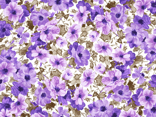 13 - Pullip ? et fleur violettes