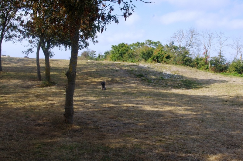 Entraînement du 09 septembre 2012