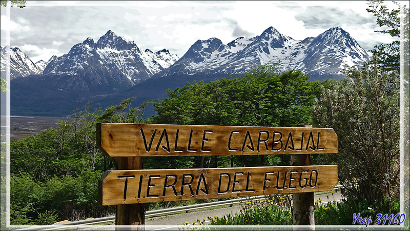 Vallée glaciaire Carbajal vue d'un belvédère - Tierra del Fuego - Argentine