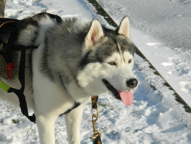 Jour de Neige