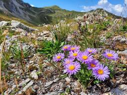 Séjour à Arêches - Septembre 2021 - Groupe 2