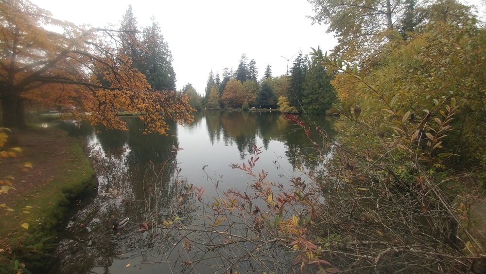 November Break in Vancouver: Seventh Day: Rivers Deep, Mountains High