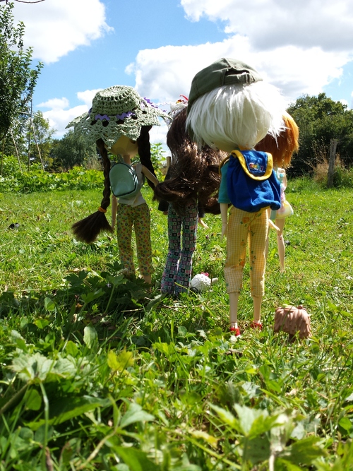 Les aléas de la randonnée