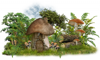 Défi "La fête aux champignons "