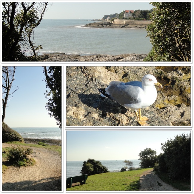 Sentier littoral de Vaux sur Mer