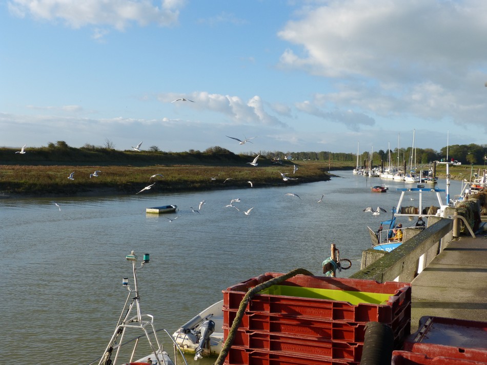 La Baie de la Somme 