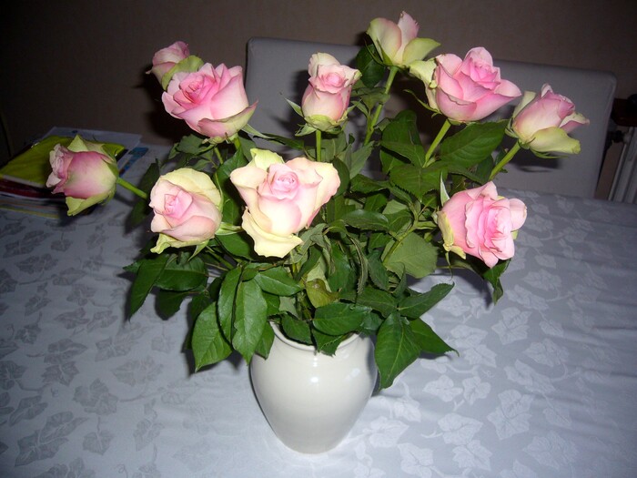 2012 - Roses