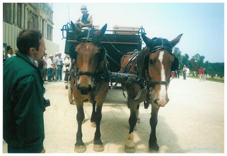 Versailles___Carrosse2