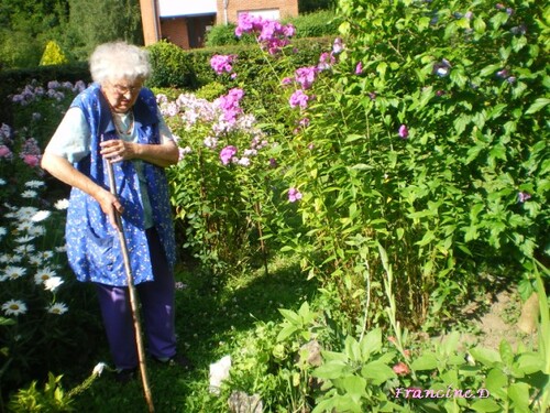 Mon jardin et celui de Marie en 2009