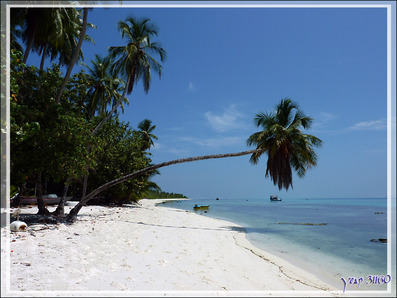 La plage et le lagon de Mandhoo : de loin ils donnent envie, mais de près peut-être un peu moins... - Atoll d'Ari - Maldives 