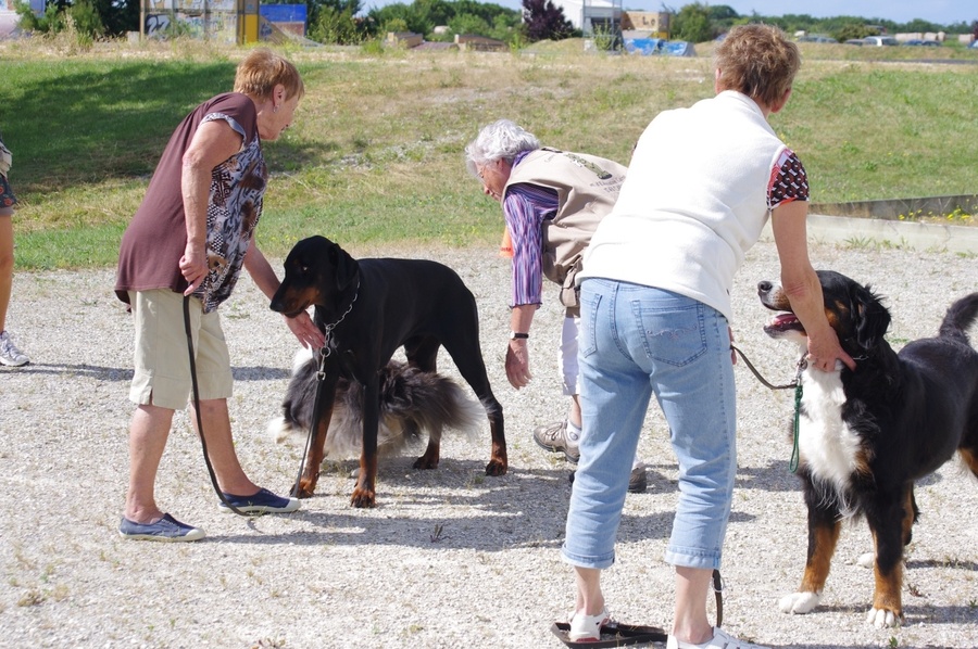 Entraînement du 1er juillet 2012