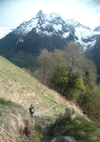 Cabane (1 nuit) : visite de cabanes en Luchonnais (31)