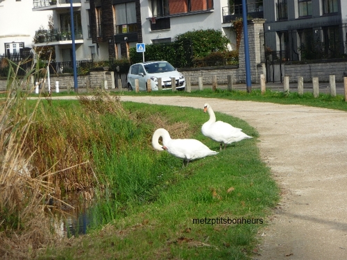 De belles rencontres...