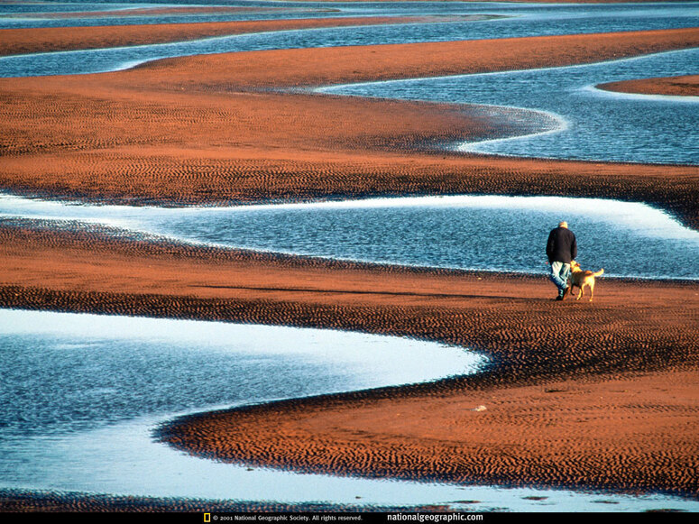 10 Images de la National Geographic