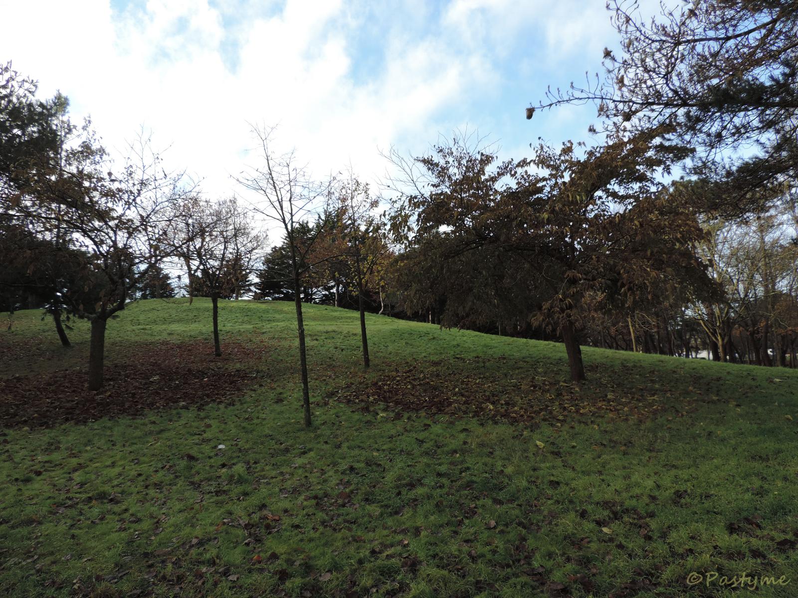 Parc Paysager de Saint Nazaire
