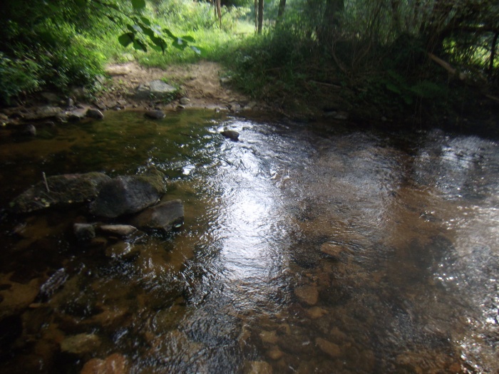 Rivières ambrées