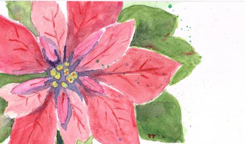 Poinsettia, peint par Marie