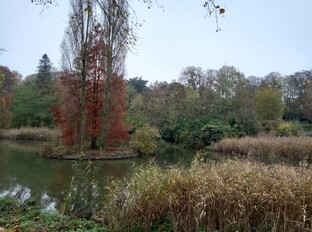 Les couleurs de l'automne au Parc Astrid