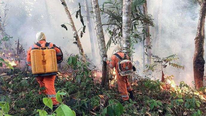 Incendies en Amazonie : "La réaction d'Emmanuel Macron est bienvenue, mais tardive et hypocrite" 