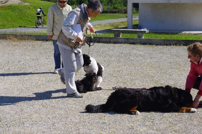 Entrainement du 13 mai 2012