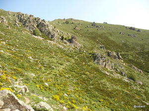 sentier montant vers les Très Estelles