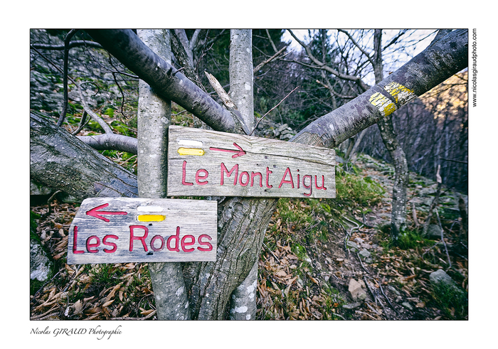 Ardèche : de la Montagne Ardéchoise au massif du Tanargue