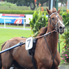 Grand Prix de la Fédération du Nord 2013