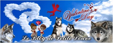 Saint Valentin 2017