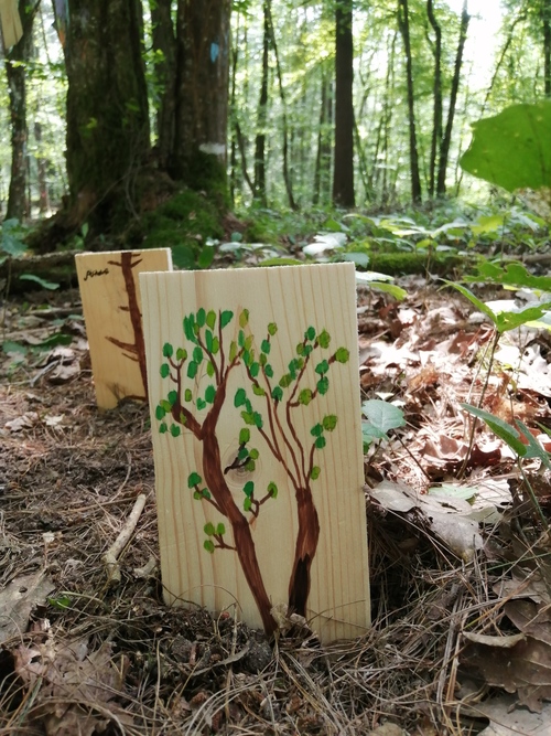 L'inauguration du sentier pédagogique