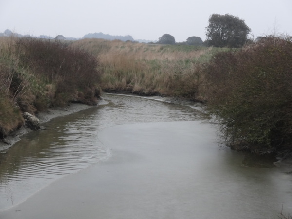 Le gel est au rendez-vous dans les marais salants !