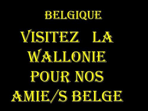 PPS BELGE