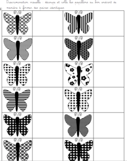 Discrimination visuelle : Papillon 