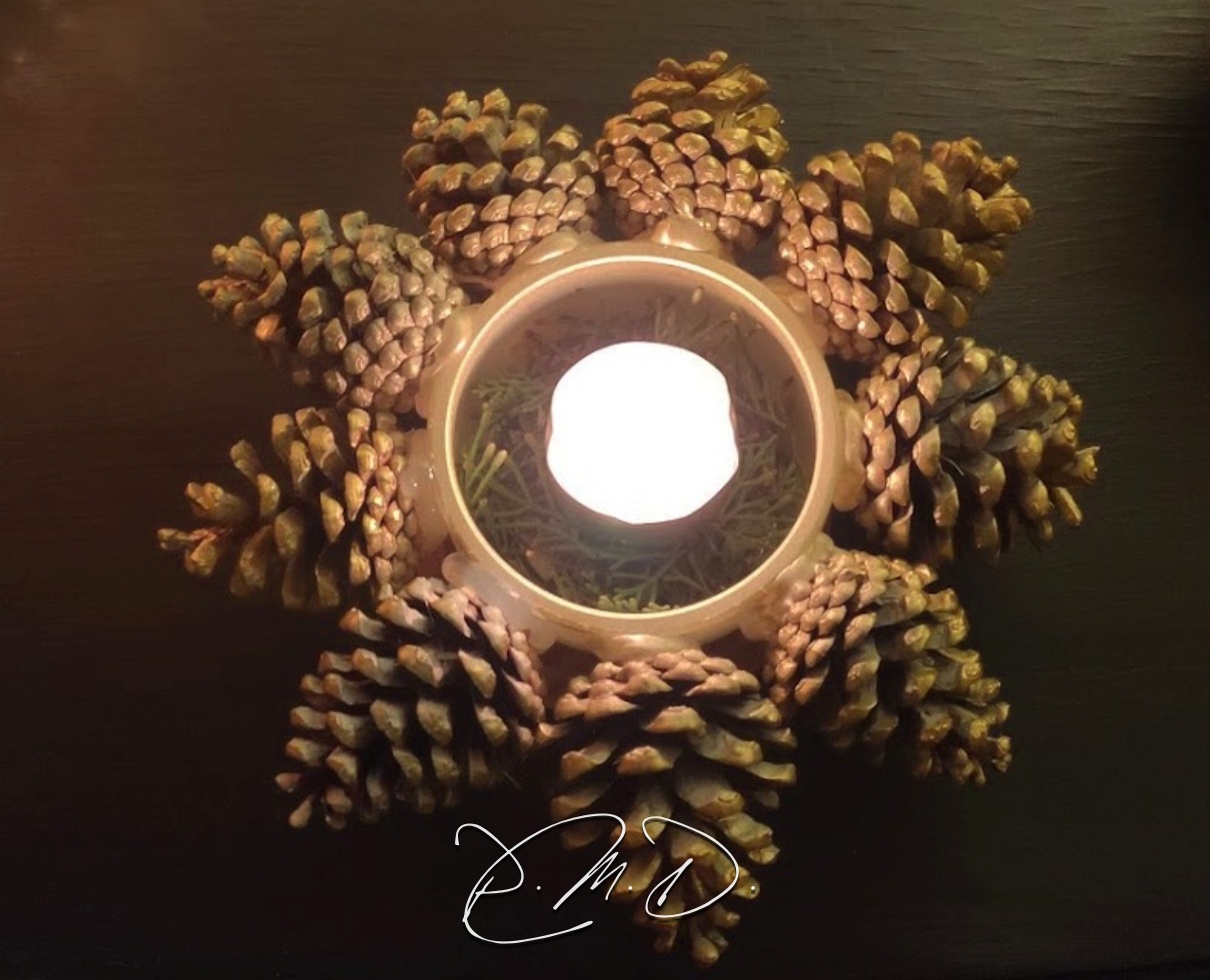 2021 C - Photophore. Pot de Yaourt, pignes de Pin collées et peinture bombe - ND