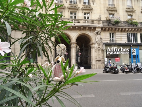 Une prussienne parisienne