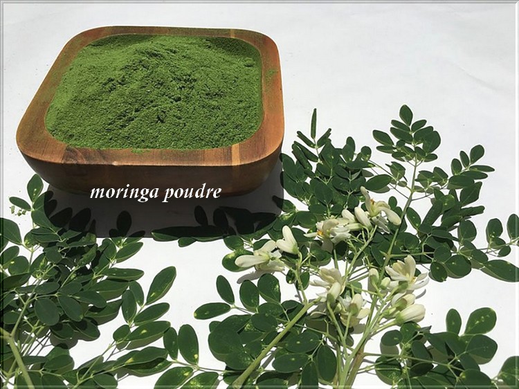 Connaissez-vous le moringa