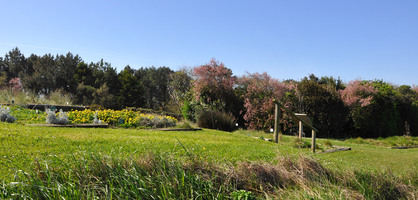 Le jardin Botannique