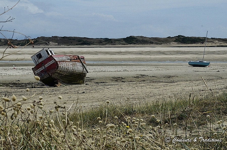 Toujours présent sur l'estran de Porbail