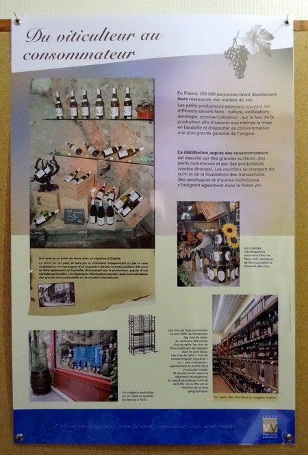 Une exposition sur la vigne à la Bibliothèque Municipale de Châtillon sur Seine