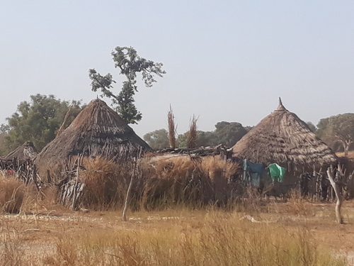2ème jour: Visite de la réserve du Niokolo-Koba et arrivée à Kédougou