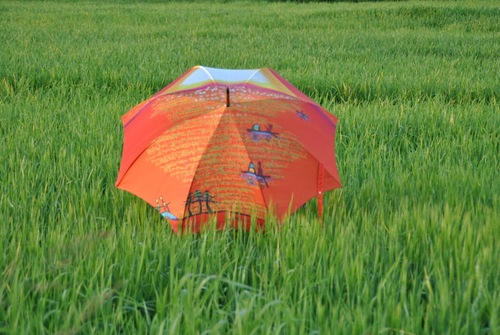 Parapluie en Belgique... 