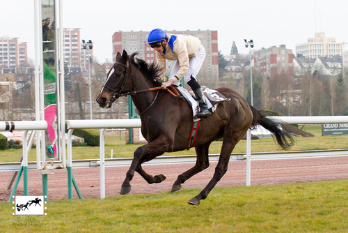 Prix de Berck sur Mer