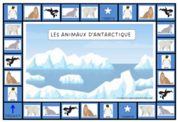 L'Antarctique : la banquise