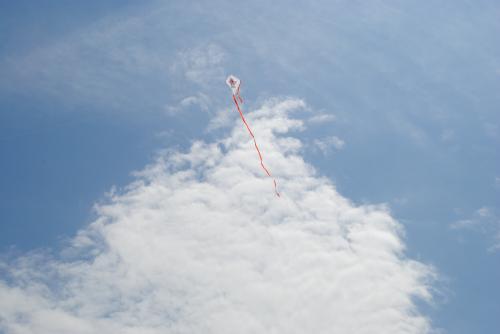 Cerf-volant...