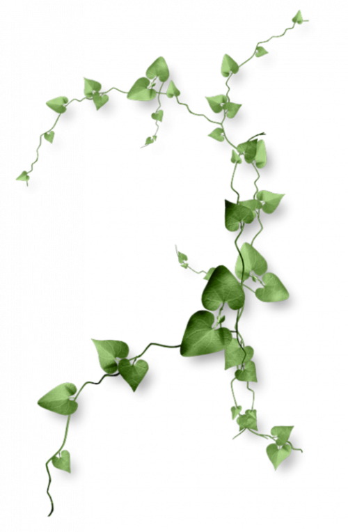 Tubes : végétations