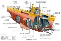 grain sable Isabelle Clauson